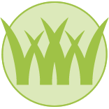 Scottsdale Lawn Mowing