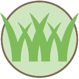 Scottsdale Lawn Mowing