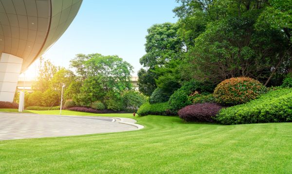 Cost of Commercial Lawn Mowing in Scottsdale