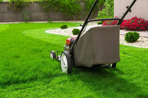 Cost of Lawn Mowing in Scottsdale