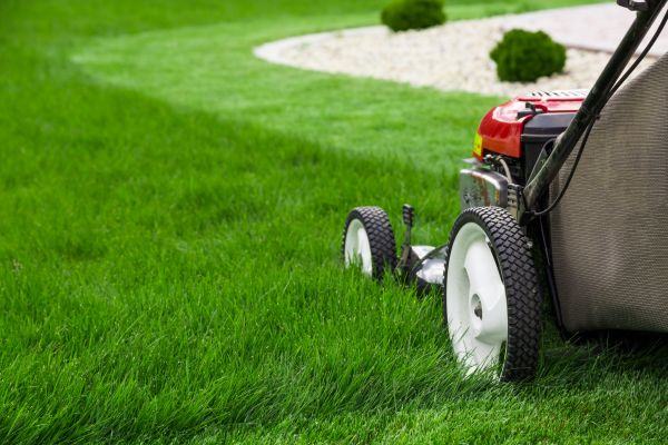 Cost of Mowing Service in Scottsdale