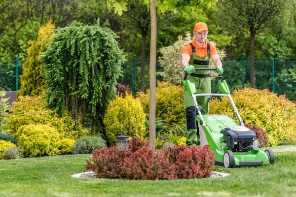 Cost of Yard Service in Scottsdale