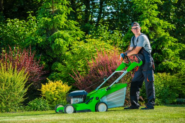 Yard Work Service in Scottsdale