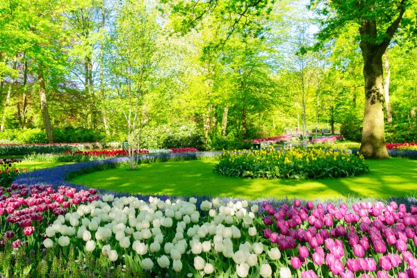 Cost of Spring Lawn Care in Scottsdale