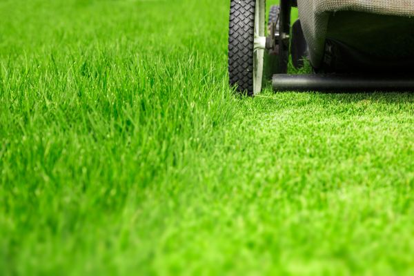 Weekly Lawn Care in Scottsdale