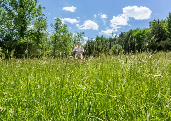 Cost of Long Grass Mowing in Scottsdale