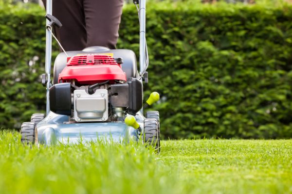 Cost of Grass Trimming Service in Scottsdale