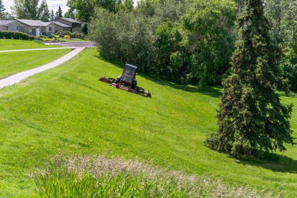 Hill Mowing in Scottsdale