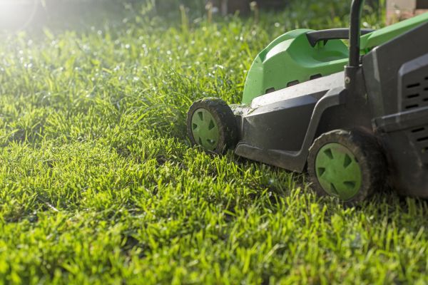 Cost of Lot Mowing in Scottsdale