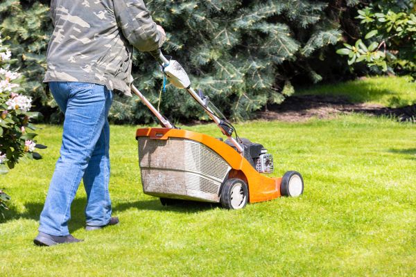 Springtime Lawn Care in Scottsdale