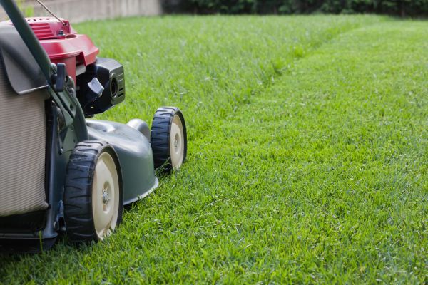 Cost of Spring Lawn Maintenance in Scottsdale