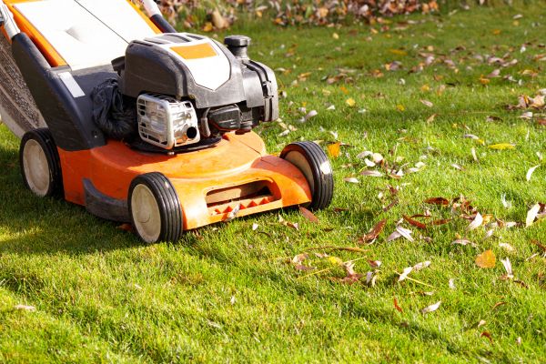 Cost of Fall Mowing in Scottsdale