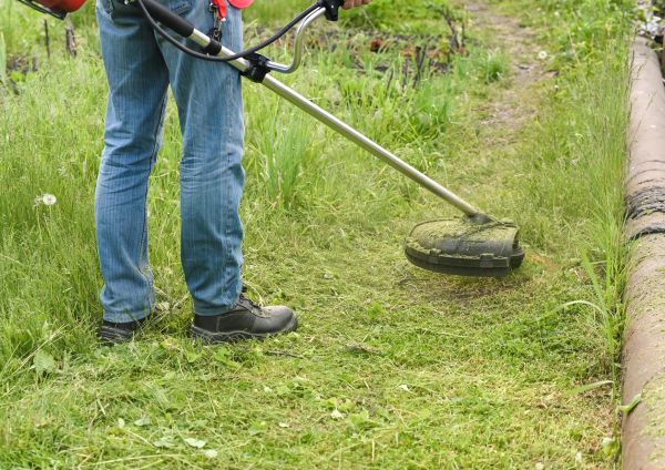 Cost of Tall Grass Trimming in Scottsdale