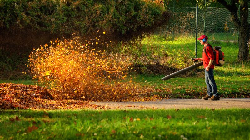 Fall Leaf Removal