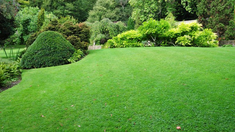 Commercial Lawn Care detail